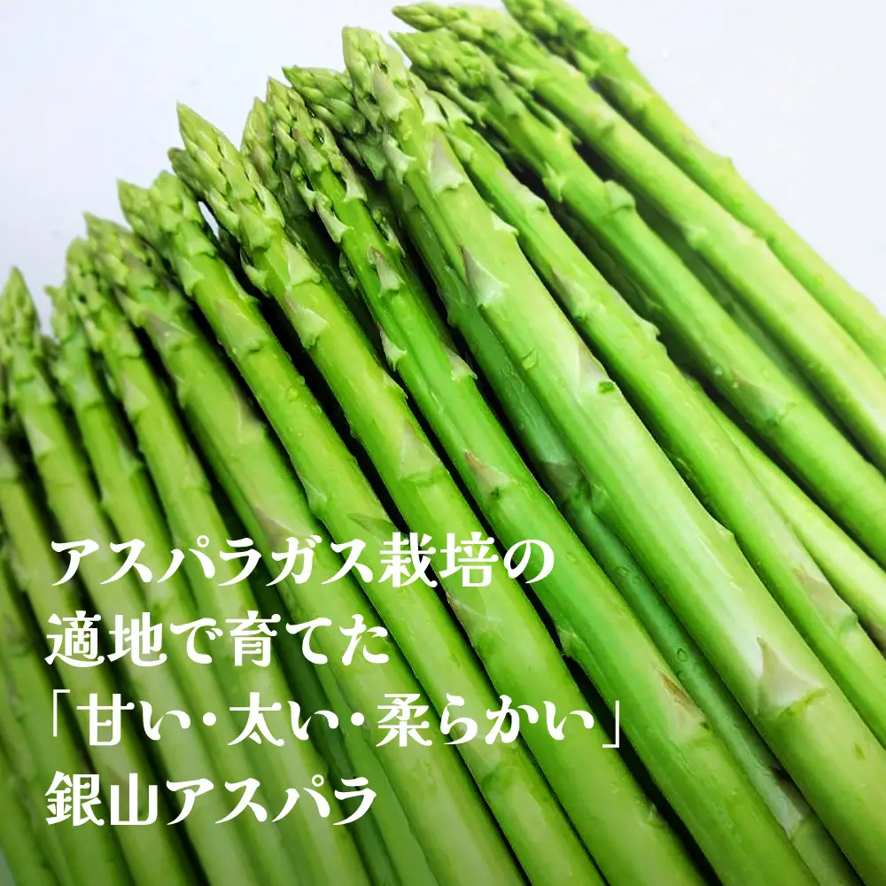 【ふるなびWEEK対象】春採り 銀山アスパラガス 2Lサイズ(極太) 1kg 令和8年産 nk-vga2x1-navi