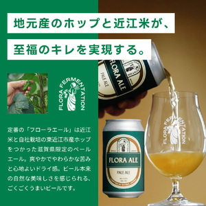 東近江のクラフトビールセット こいずみ酒店 滋賀県 東近江市 B-I04 クラフトビール 地ビール 飲み比べ 10本 缶 セット ペールエール 滋賀 ご当地 お酒 詰め合わせ ギフト