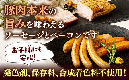 【定期便6カ月】岩手県産豚肉使用 無添加ソーセージ2種＋ベーコンセット 豚肉 燻製 おかず つまみ