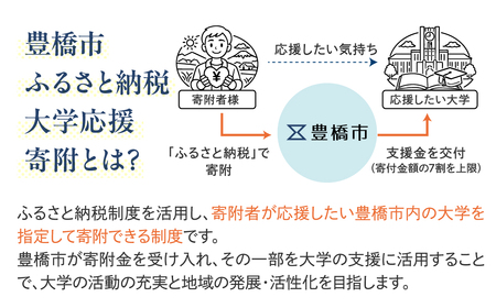 ≪返礼品無し≫【豊橋創造大学】豊橋市大学応援寄附 3000円 大学寄附 愛知県豊橋市への寄附 返礼品無し 寄附のみ 豊橋市 穂の国 東三河 3000円 ポッキリ 愛知県 豊橋市