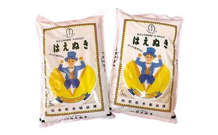 令和7年産 金山産米 はえぬき 【精米】（5kg×2袋） 計10kg 米 お米 白米 ご飯 精米 ブランド米 送料無料 東北 山形 金山町 F4B-0787