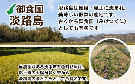 【期間限定】淡路島産 合鴨農法米玄米2kg＋自然栽培野菜セット / 野菜セット