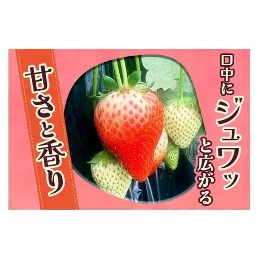 やさしさ仕立ての とちあいか 300g×4P 【2027年先行予約】 栃木県 矢板市