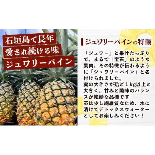 石垣島産ジュワリーパイン 2玉 約1.4kg