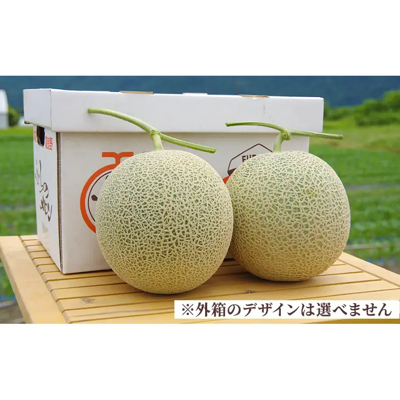 ＜2026年発送＞富良野メロン (赤肉) 品種おまかせ 約1.8kg～/2玉 [ メロン フルーツ 果物 北海道 富良野 ]