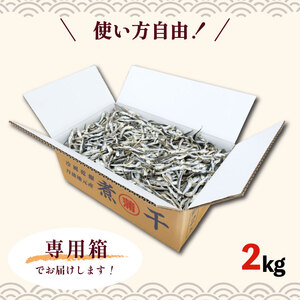 【 無添加 】 煮干し 2kg 専用箱入り 新鮮 じゃこ いりこ