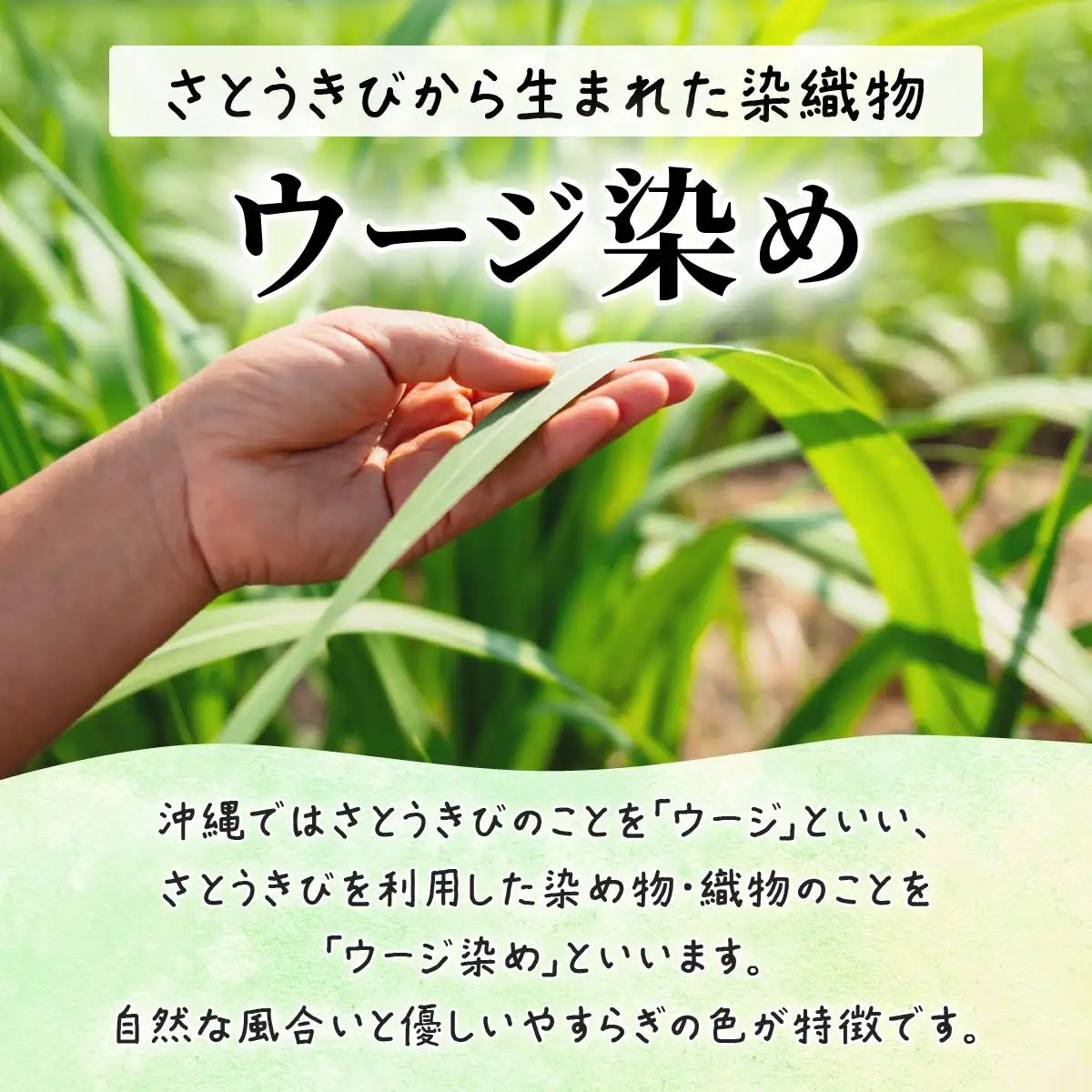ウージ染め 麻100％ ペンケース 