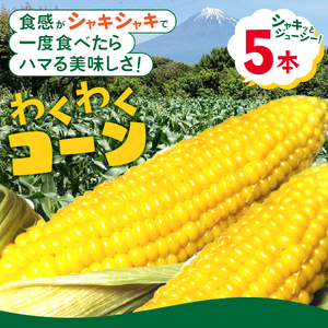 トウモロコシ わくわくコーン 5本 期間限定 数量限定 糖度15度以上 ジューシー 甘い スイートコーン 野菜 新鮮 朝採り クール便 冷蔵発送 静岡県 富士市 【6月中旬～7月中旬頃に順次発送】 [sf001-341]