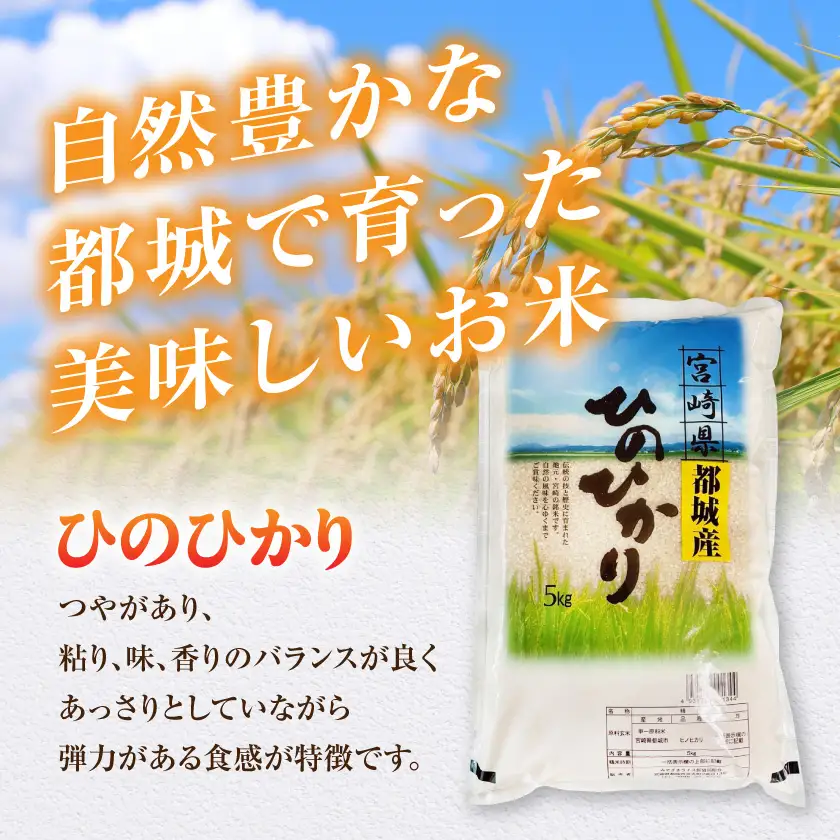 【お中元】都城産ひのひかり10kg(5kg×2袋)〔21-N5-002-10kg-SG〕