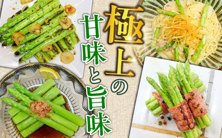 【先行予約】モーモーアスパラ 夏芽 2L 1.2kg（6月上旬から順次発送） 酪農 牧場 こだわり アスパラガス おすすめ 大分県　日田市 / 株式会社本川牧場[ARAI039]