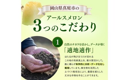 【2026年先行予約】 岡山の アールスメロン1玉（1.5kg以上） ※7月末より順次発送 真庭市 【mnem001-01】