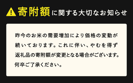 はえぬき 精米 5kg 7月中旬~7月下旬発送 国産 お米 山形県産 山形産  おすすめ 5kg 5キロ 5きろ 令和7年産 2025年産 沖縄・離島への配送不可 コメ こめ はくまい 白米米 tf-hasxb5-7s