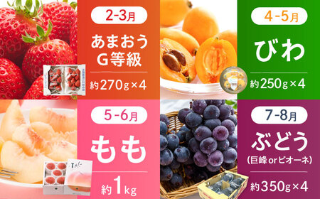 【7回定期便】フルーツ定期便（あまおう/びわ/桃/ぶどう/シャインマスカット/柿/キウイ） 広川町 / JAふくおか八女農産物直売所どろや[AFAB093]