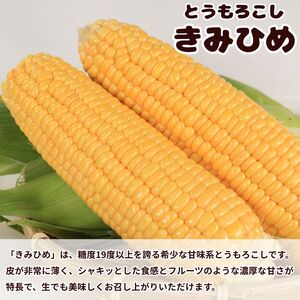 とうもろこし きみひめ 約5kg Lサイズ 《 2026年6月中旬から発送 》