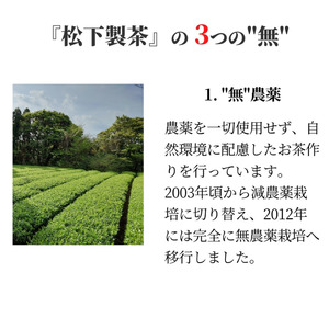 ＼ R8年産 出荷中 ／ 【たねがしまる4000】種子島 有機  緑茶  やぶきた ティーパック   NFN951【100pt】 // オーガニック 一番茶 JAS認証 