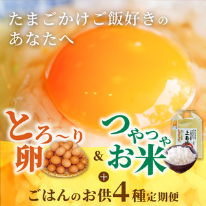 たまご屋の「ご飯がすすむ定期便Ｂ」（卵40個・米3kg・月替わり品）6ヵ月コース _07T-004