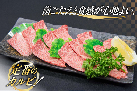 牛肉 焼肉 博多和牛 カルビ 450g 2p 約 900g [地域商社ふるさぽ 福岡県 筑紫野市 21761434]