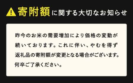 雪若丸 精米 5kg 7月中旬~7月下旬発送 国産 お米 山形県産 山形産  おすすめ 5kg 5キロ 5きろ 令和7年産 2025年産 沖縄・離島への配送不可 コメ こめ はくまい 白米米 tf-ywsxb5-7s