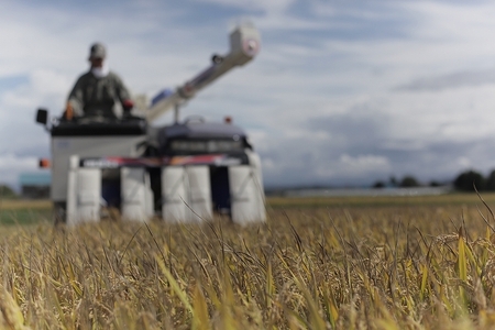 【先行予約】【定期便 10kg 12ヶ月 】【令和8年産】白米 ゆめぴりか 皇室献上米 精米 ブランド米 定期便