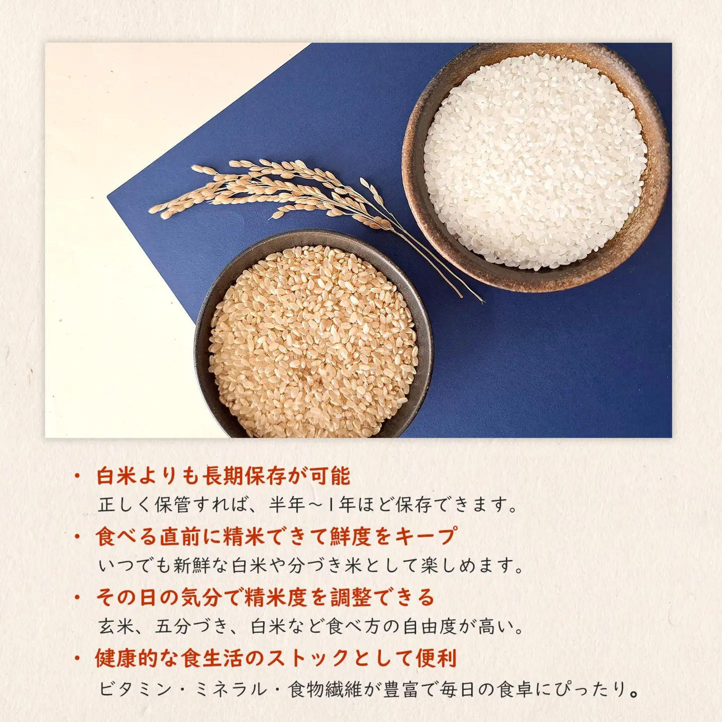 【令和7年産】境町のこだわり玄米 「一番星」30kg S252