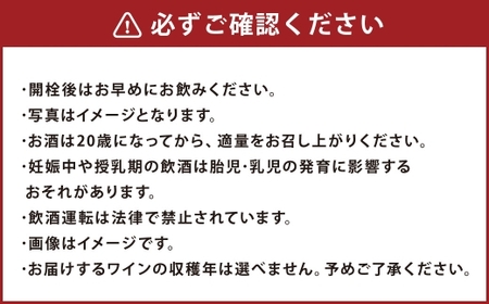鶴沼収穫ワイン 【 ミュラー･トゥルガウ 】 白ワイン3本セット アルコール11.5％-12.5％ 青リンゴ シトラス 酸味 お酒 酒 洋酒 アルコール 白ワイン 国産 北海道産 ぶどう