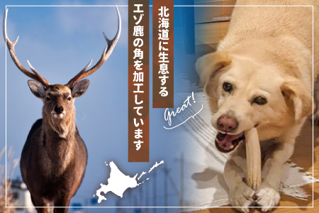 犬用「鹿の角(半割り)」Ｌサイズ×2本[53-1600]