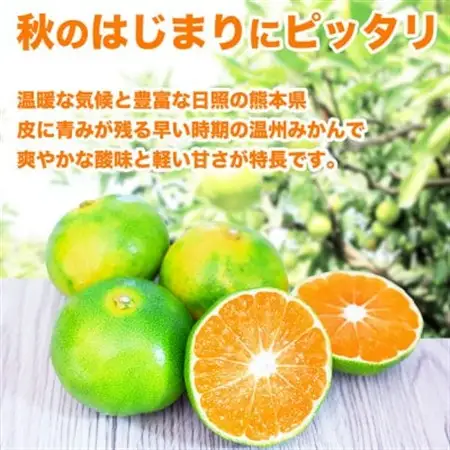 極早生みかん 2S～2L 約3kg(益城町)【1725626】