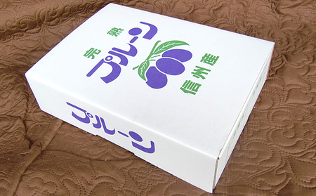 信州小諸・福井りんご園の生プルーン　約1.8kg 果物詰合せ フルーツ 