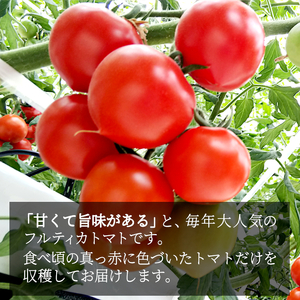 予約品※2026年7月～8月発送 フルーツのように甘い フルティカトマト 2kg 令和7年度産 ※予約商品※ 割れ保障付 数量限定 高評価 トマト 中玉 野菜 人気 新鮮 産地直送 甘い 高糖度 完熟 リコピン ビタミン 美容 美肌 ミニトマト 7000円 7,000円