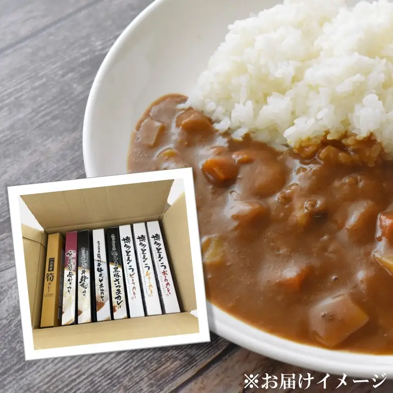 九州のカレーセット(レトルトカレー8食入り)【B-177】