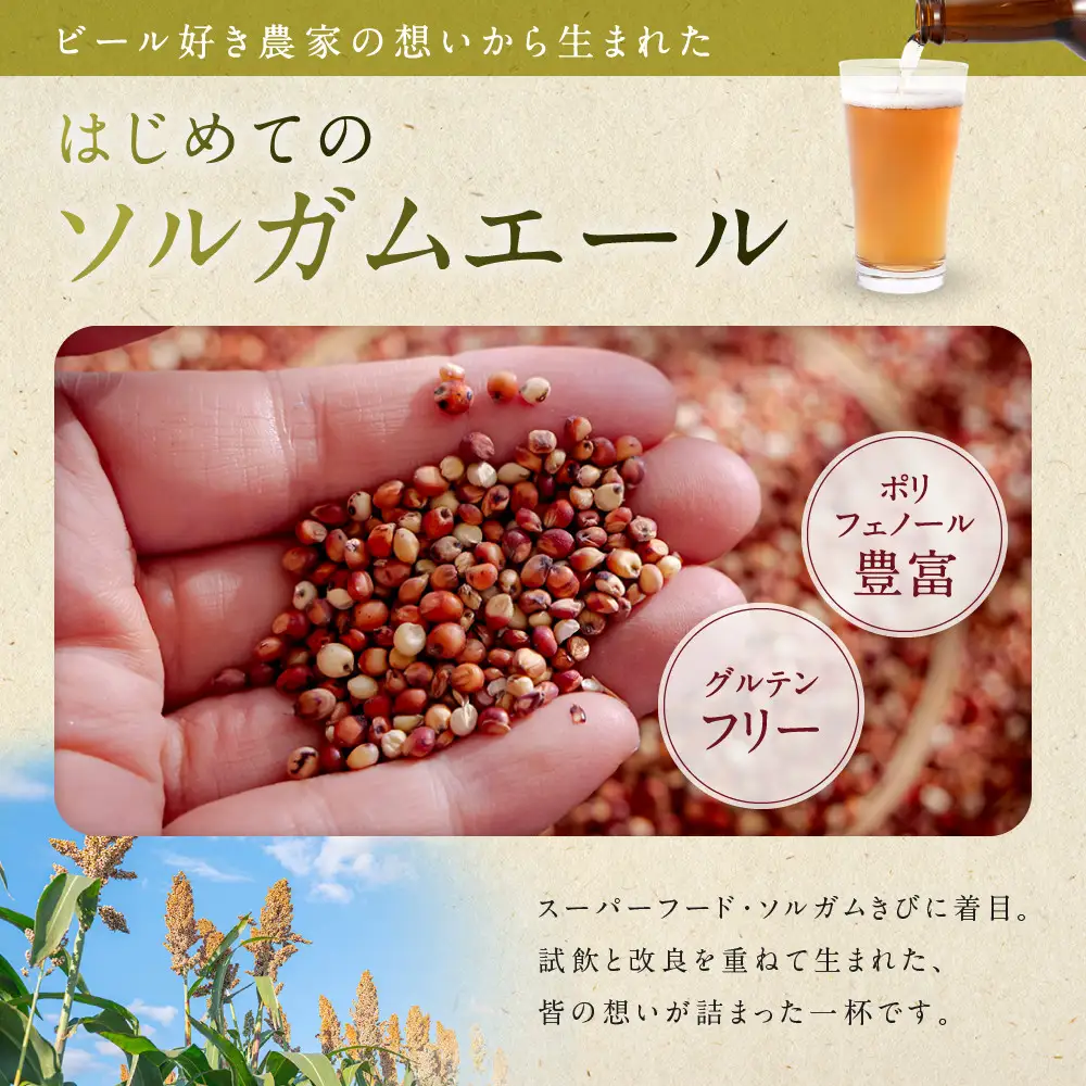 信州ソルガムエール煌り　6本セット