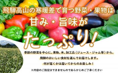 飛騨高山の新鮮野菜 おまかせセット | 野菜 おまかせ 詰め合わせ やさい 果物 くだもの ご当地 フルーツ 飛騨高山 まるっとプラザ BA007
