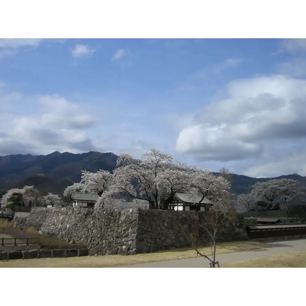 【松代城 壱口城主証】 | 城主証 歴史 文化遺産 寄付