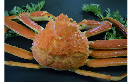 ＜定期便＞『境港の全部を食す』旬のお魚宅配便(全4回)