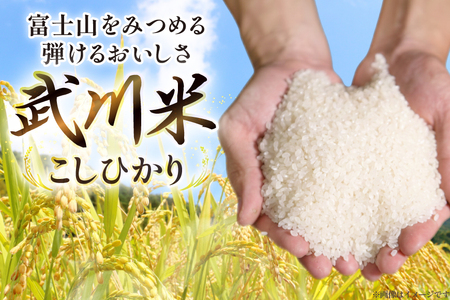 【数量限定】 米 令和8年産 こしひかり 山梨県産 武川米 5kg [ヤマエ株式会社 山梨県 韮崎市 20745394]