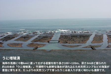 【水揚げしたその日に出荷】生うに 80g×2パック 計160g ミョウバン不使用 無添加 塩水うに