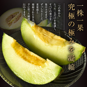 【先行予約】養液栽培メロン「璻」1玉【Select】（糖度13度以上、重さ1.3㎏以上）【熨斗対応可能】
