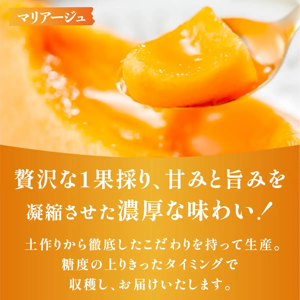 《令和8年8月上旬発送予定》 大阪府能勢町産 赤肉メロン 『マリアージュ』 1玉 (約1.5kg) × メロンピクルス 2本 (150g×2) セット | 西河農園 | 国産 フルーツ 果物 デザート 甘い | 8月発送 夏季限定 | 詰め合わせ セット ギフト | 大阪府 能勢町 送料無料