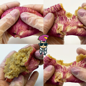 【江南スタイル】こぐまパンシリーズよくばり9個セット ｜サツマイモパン ジャガイモパン　カボチャパン コグマパン カムジャパン ホバクパン 手作り 菓子パン 冷凍パン おやつ 詰め合わせ 個包装 栃木市 栃木県