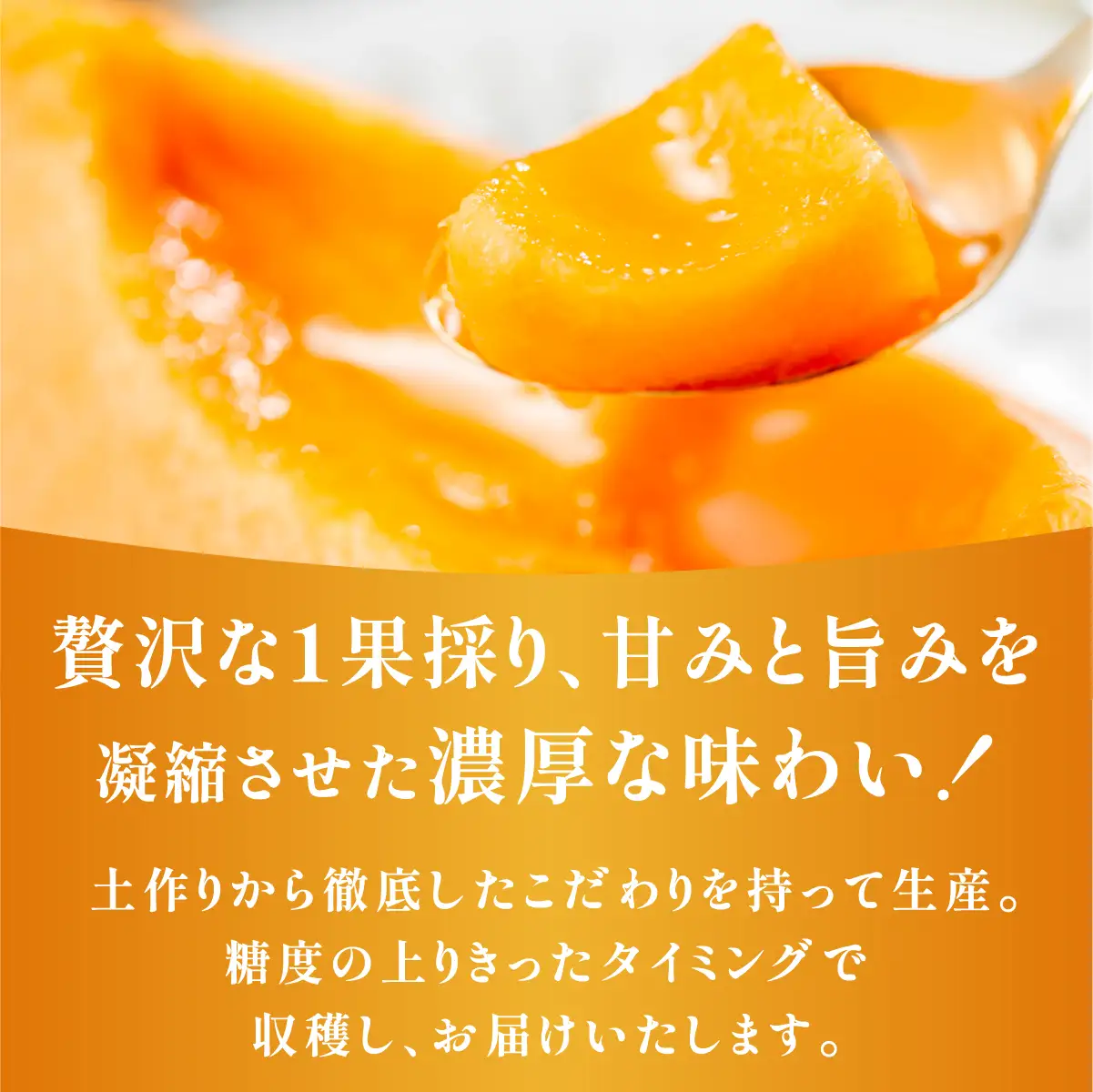 《令和8年8月上旬発送予定》 大阪府能勢町産 赤肉メロン 『マリアージュ』 1玉 (1.5kg-1.8kg) | 西河農園 | 国産 フルーツ 果物 デザート 甘い | 8月発送 夏季限定 |  ギフト 贈り物 |  大阪府 能勢町 送料無料