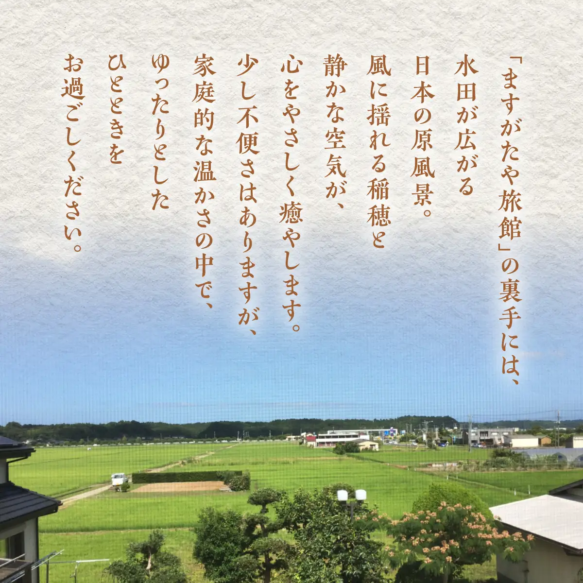 「ますがたや旅館」1泊素泊まり宿泊券(1名) 成田空港からほど近い家庭的な雰囲気の隠れ宿_旅行券・チケット 宿泊券【配送不可地域：離島・沖縄県】 TAKR004