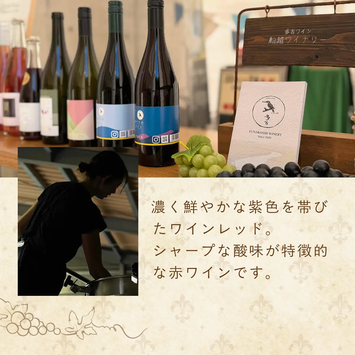 多古ワイン2020【水色ラベル】【750ml】【1本】_酒・アルコール 赤ワイン ワイン _【配送不可地域：離島・沖縄県】TAKM001