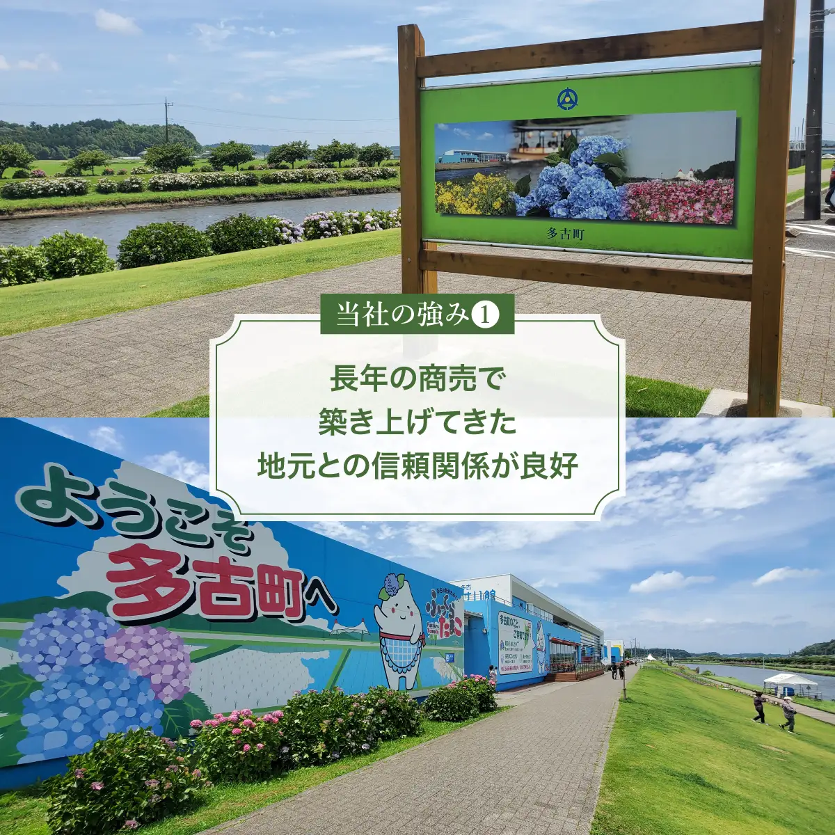 【令和7年産】多古米コシヒカリ 精米10kg(5kg×2袋)_ 精米 米 _【配送不可地域：離島・沖縄県】 TAKE002