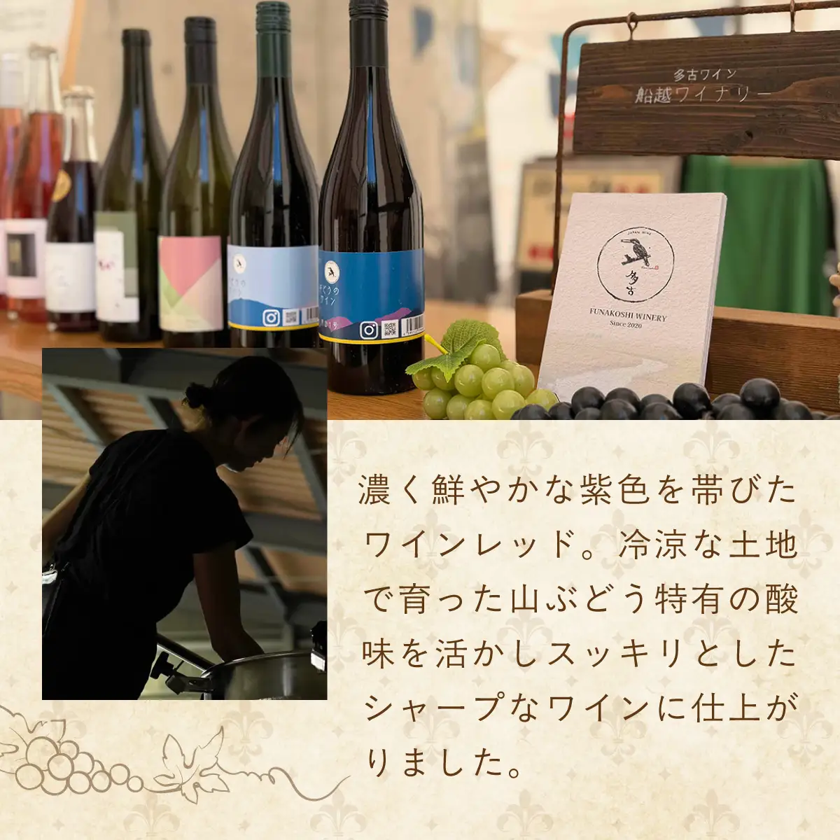 多古ワイン2021・山ぶどう【赤】【日本ワイン】750ml・1本_酒・アルコール 赤ワイン ワイン _【配送不可地域：離島・沖縄県】 TAKM003