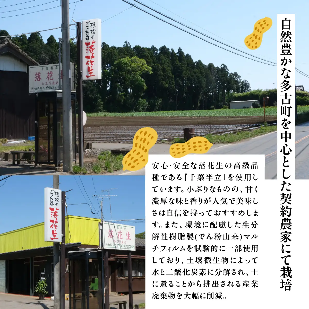 千葉県産　大人気返礼品ゆで落花生　2種(3パック入)食べ比べセット_惣菜・加工品     野菜 豆  まめ マメ 【配送不可地域：離島・沖縄県】TAKF054