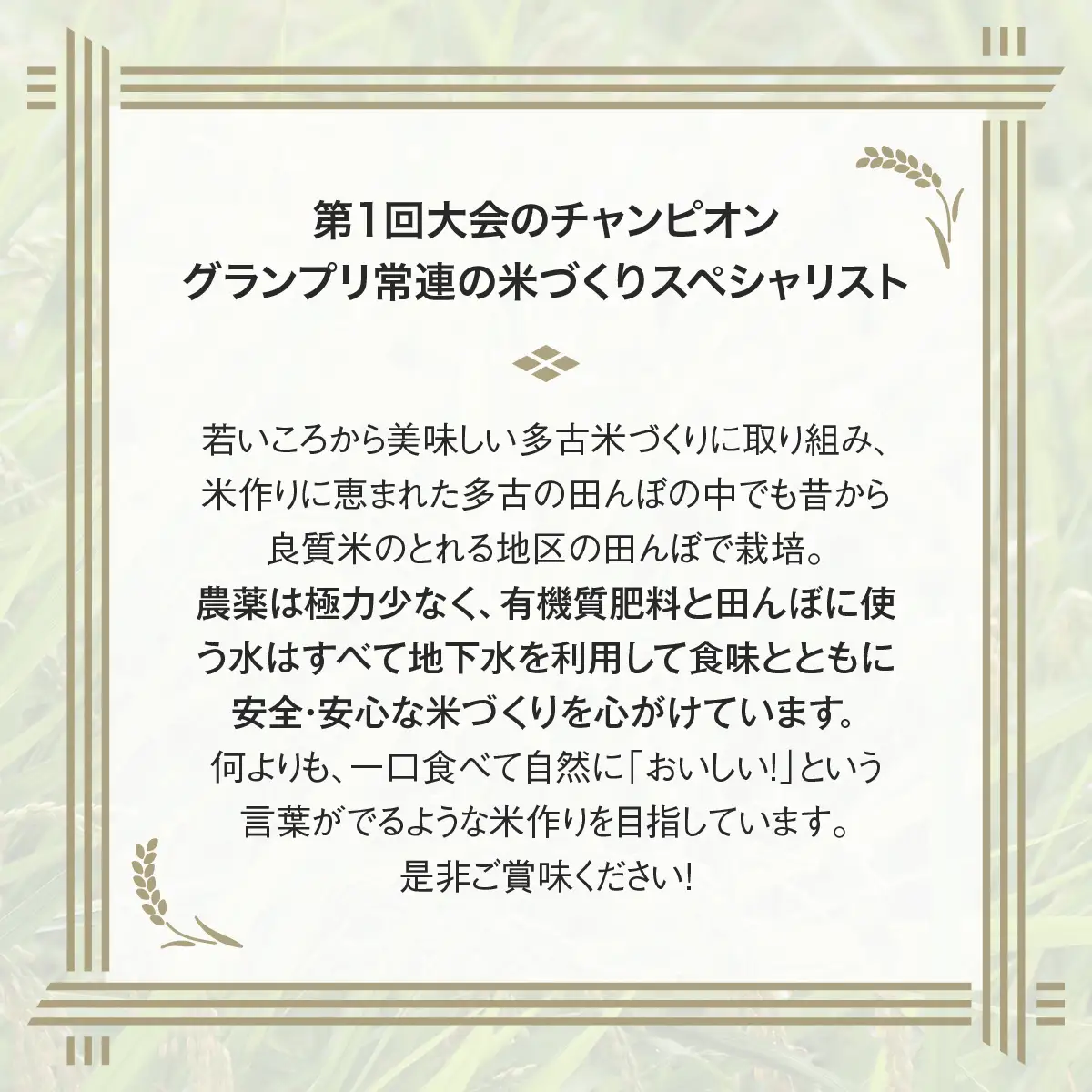 多古米グランプリ常連　佐藤さんのコシヒカリ【令和7年産玄米】10kg_佐藤さん コシヒカリ 玄米 令和7年産_【配送不可地域：離島・沖縄県】 TAKF042