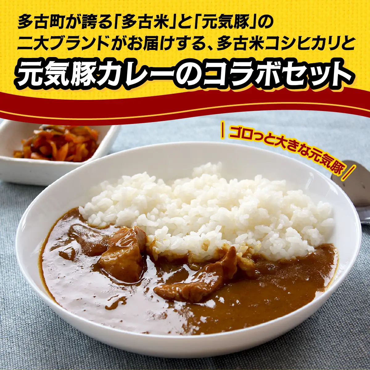 ご飯にはやっぱりカレー!「多古米コシヒカリ2kg」と「元気豚カレー200g×6」セット_ 精米 米    コシヒカリ 米 こしひかり  惣菜・加工品 カレー  _【配送不可地域：離島・沖縄県】 TAKF021