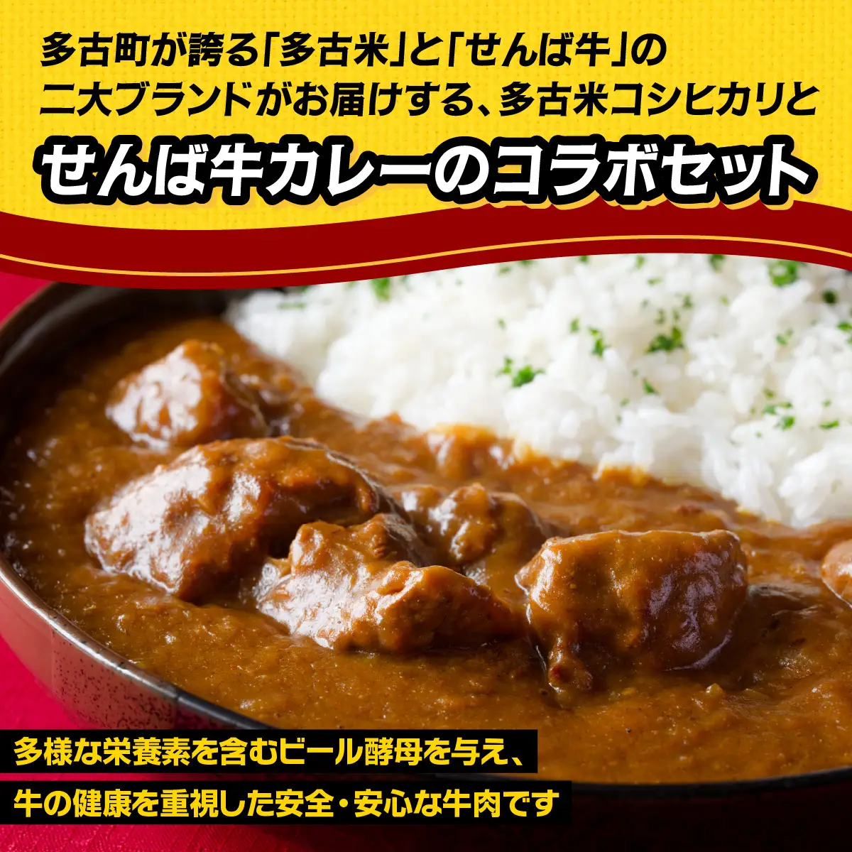ご飯にはやっぱりカレー!「多古米コシヒカリ2kg」と「せんば牛カレー200g×5」セット_ 精米 米    コシヒカリ 米 こしひかり  惣菜・加工品 カレー  _【配送不可地域：離島・沖縄県】TAKF023