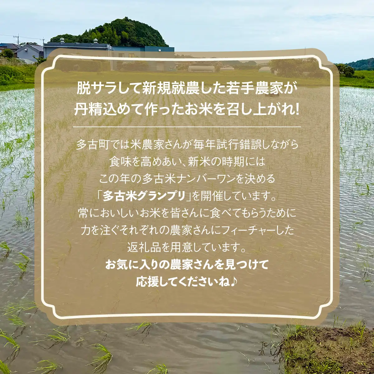 多古米セレクション　高石健太郎さんの多古米コシヒカリ　精米5kg　令和7年産 【配送不可地域：離島・沖縄県】TAKF035