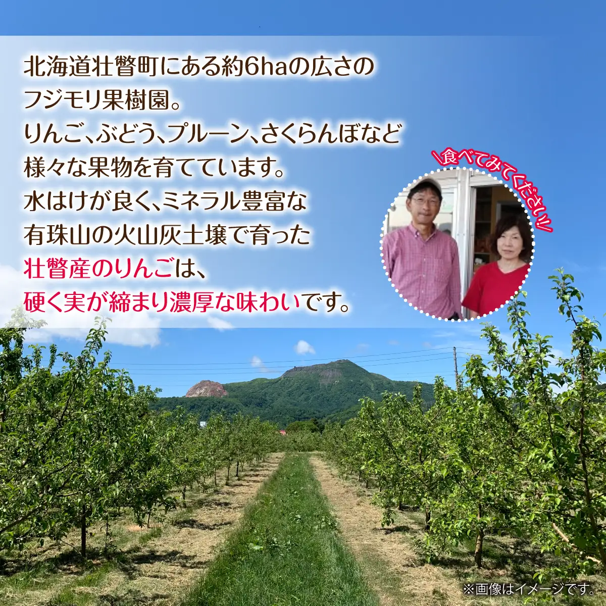 【先行予約】＜2026年12月上旬よりお届け＞北海道壮瞥町　【訳あり】りんご　品種名「サンふじ」約10kg SBTF030